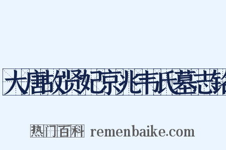大唐故贤妃京兆韦氏墓志铭是什么意思的图片